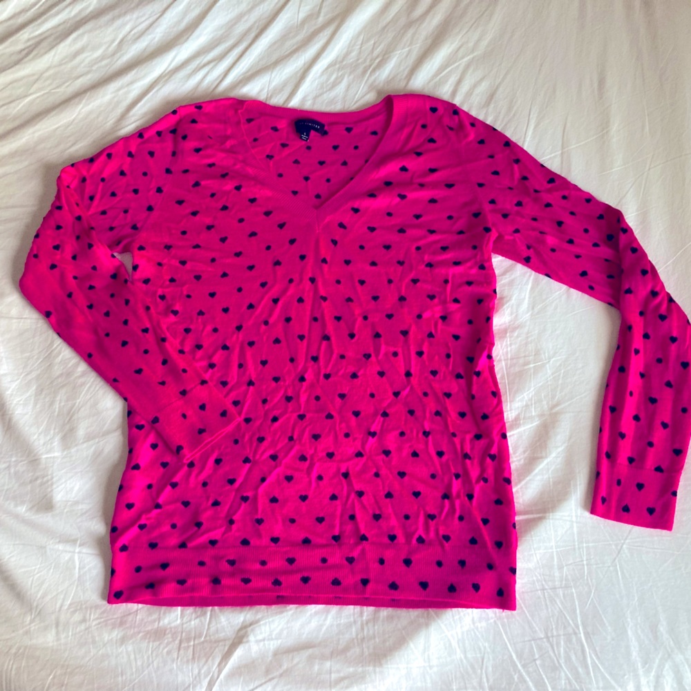 The Limited large thin sweater